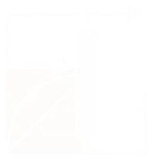 Logo APT